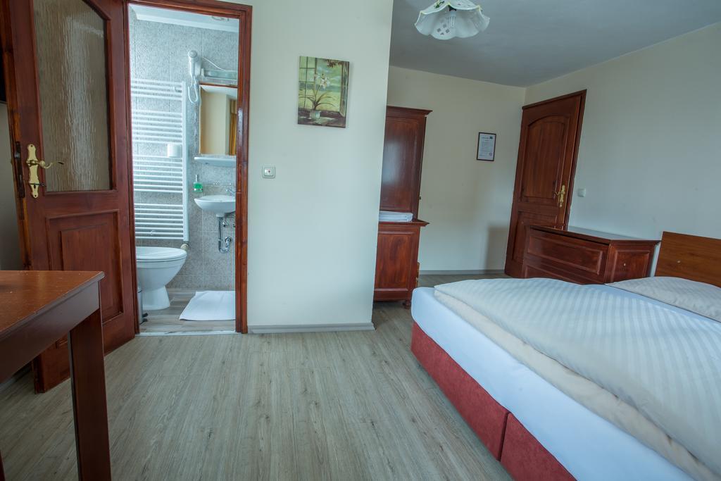 Pension Centrum Ricany  Room photo