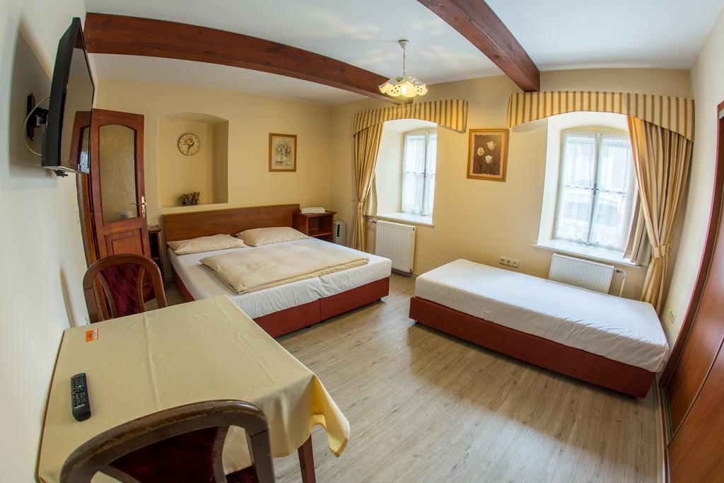 Pension Centrum Ricany  Room photo